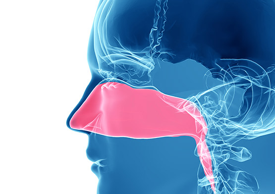 Sinus Lift Springfield, MO